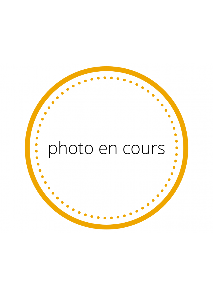 Pizza blanche reblochon, oignons rouges et origan