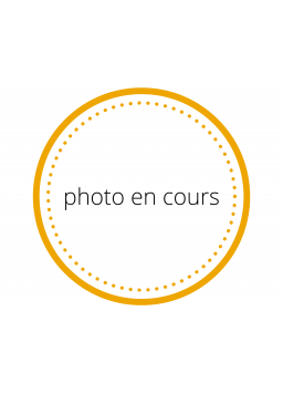 Pizza blanche : bleu, noix,...